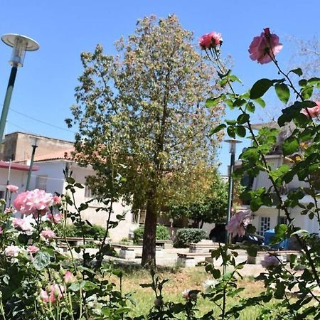 "Amelie" - Kalamata Centre Family Apartment Экстерьер фото